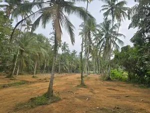 Veyangoda සුන්දර වෙල්යායකට පිහිටා ඇති ඉඩම ඉතා ඉක්මනින් විකිණීමට ඇත.