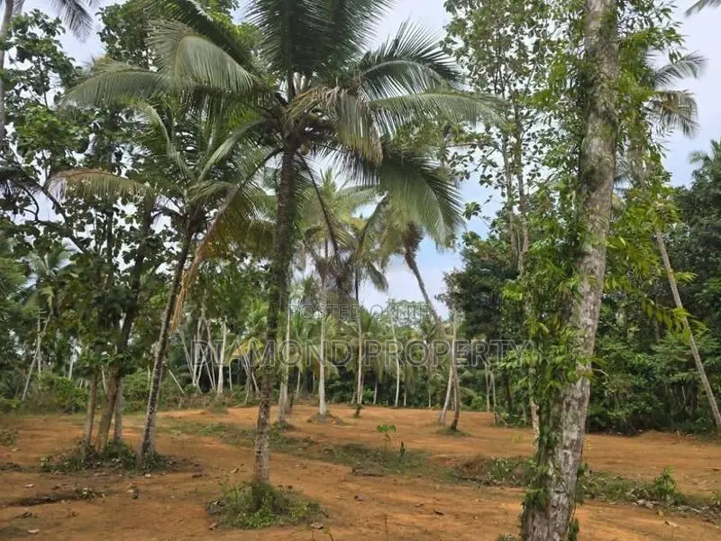 Veyangoda සුන්දර වෙල්යායකට පිහිටා ඇති ඉඩම ඉතා ඉක්මනින් විකිණීමට ඇත.