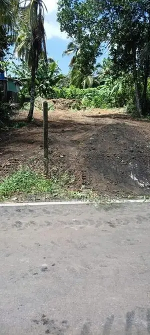 15 Perch Residential Land for Sale, Koralaima