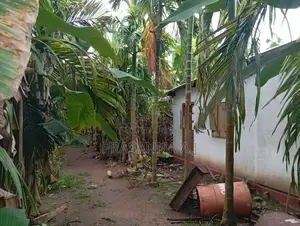 Land for Sale Vavuniya