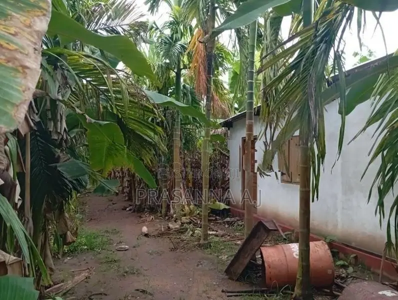 Land for Sale Vavuniya