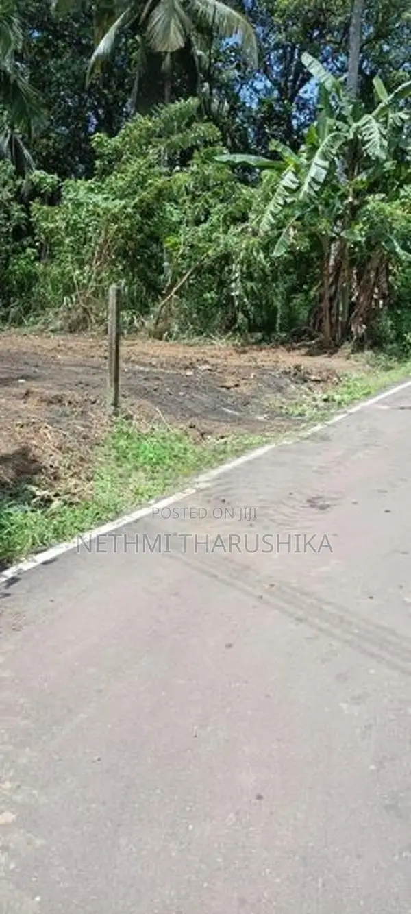 15 Perch Residential Land for Sale, Koralaima