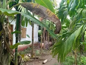 Land for Sale Vavuniya