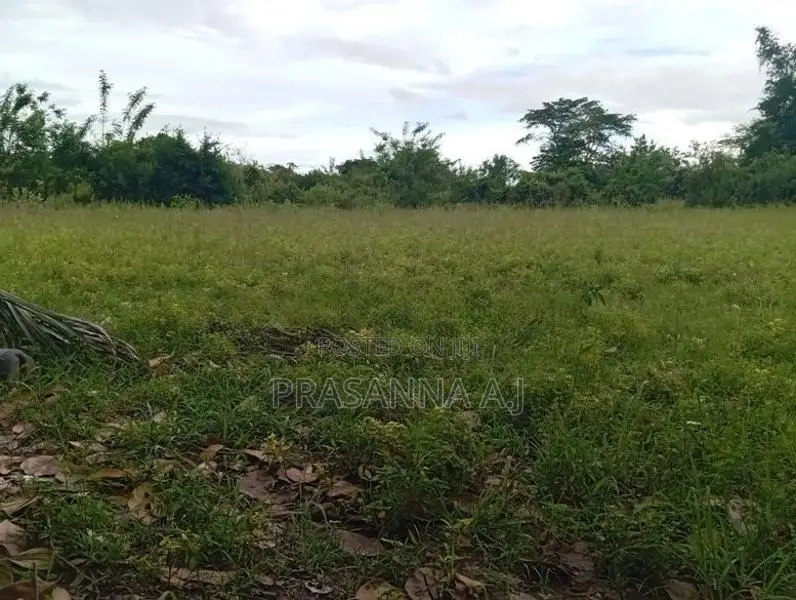 Land for Sale Vavuniya