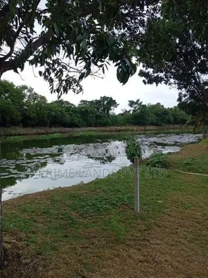 River Facing Land for Sale in Nawala