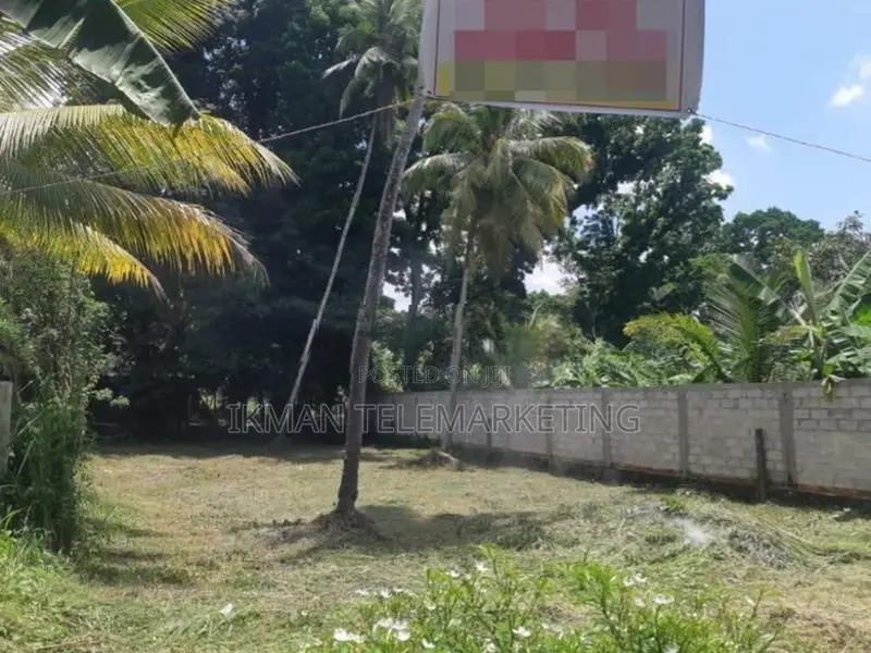Land for Sale in Pasyala
