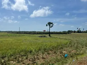 காணி விற்பனை Vaddukoddai