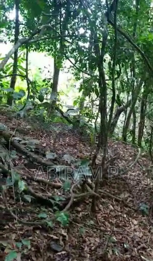 Tourism Commercial Land for Sale