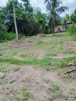 Land for Sale in Pasyala