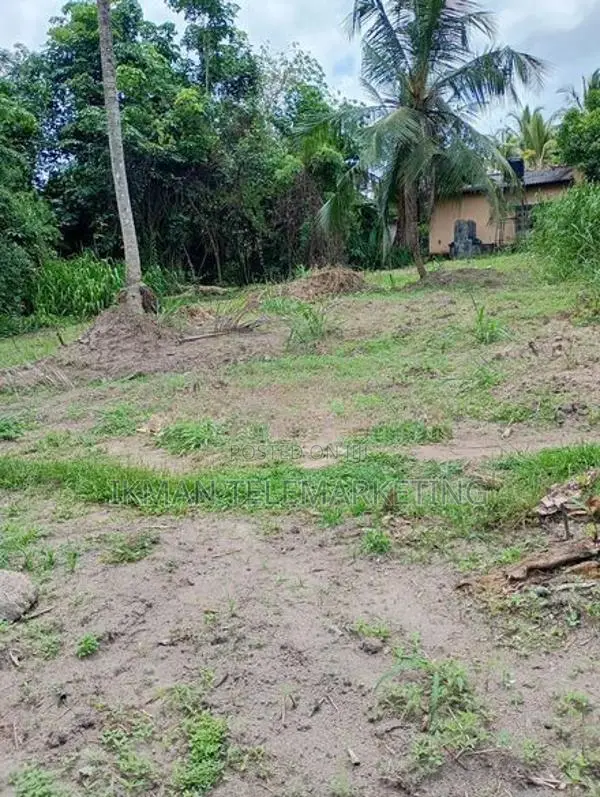 Land for Sale in Pasyala
