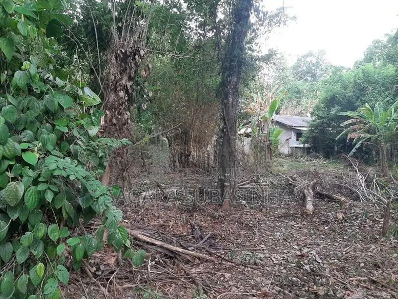 Land for Sale Monaragala
