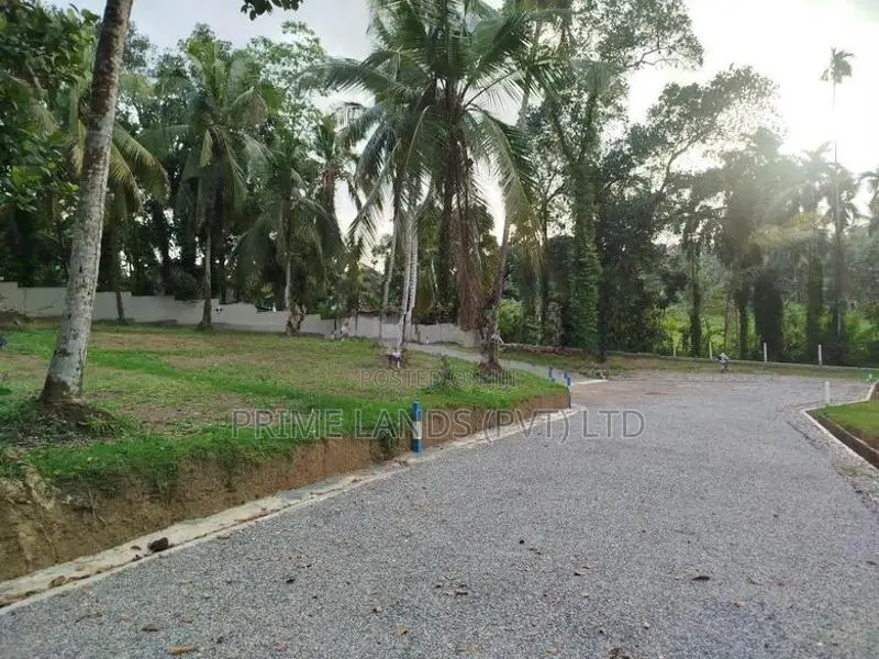 හෝමාගම රෝහල පාරෙන් බිම් කොටස් විකිණීමට