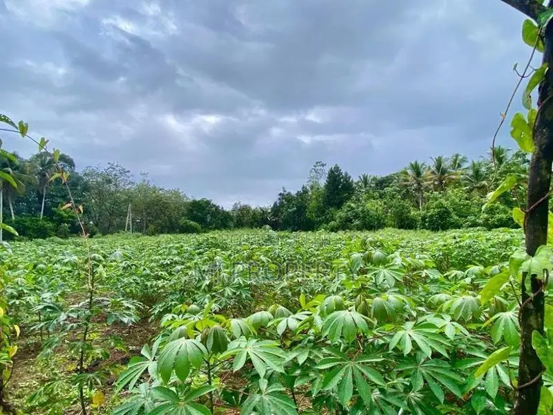 ( TS-1170) Valuable Residential Bare Land Sale in Padukka