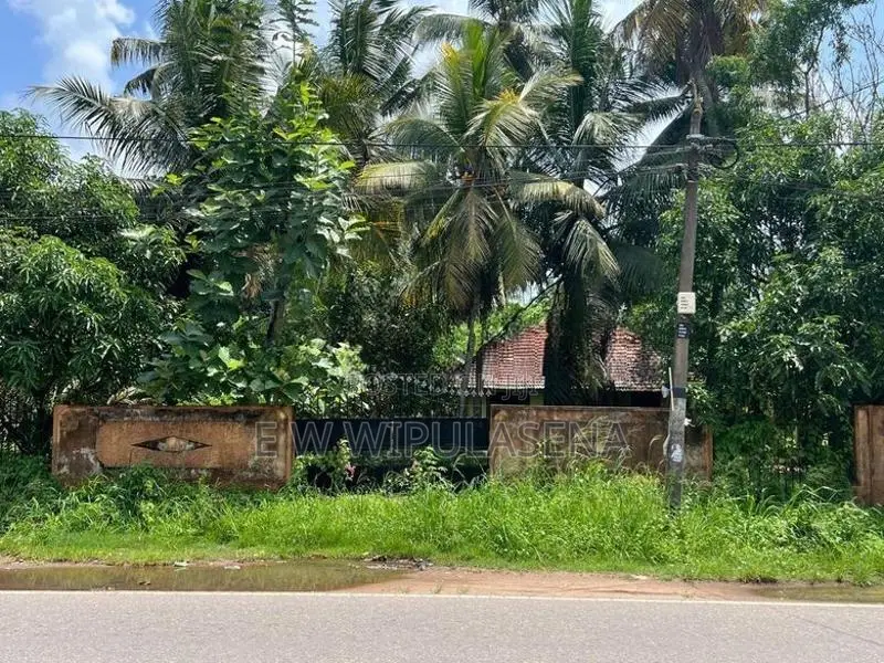 Ja-Ela Main Road Facing Makavita