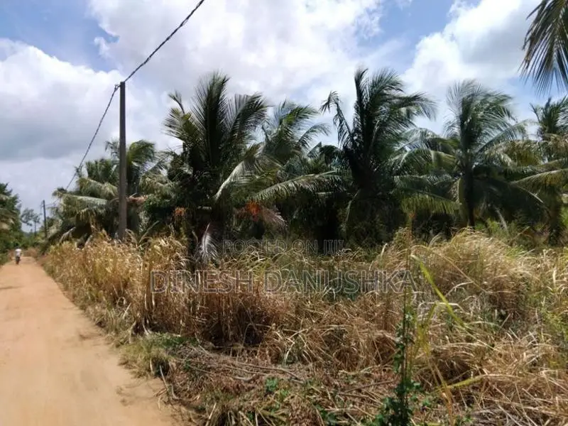 Land For Sale තලකිරියාගම ,දඹුල්ල