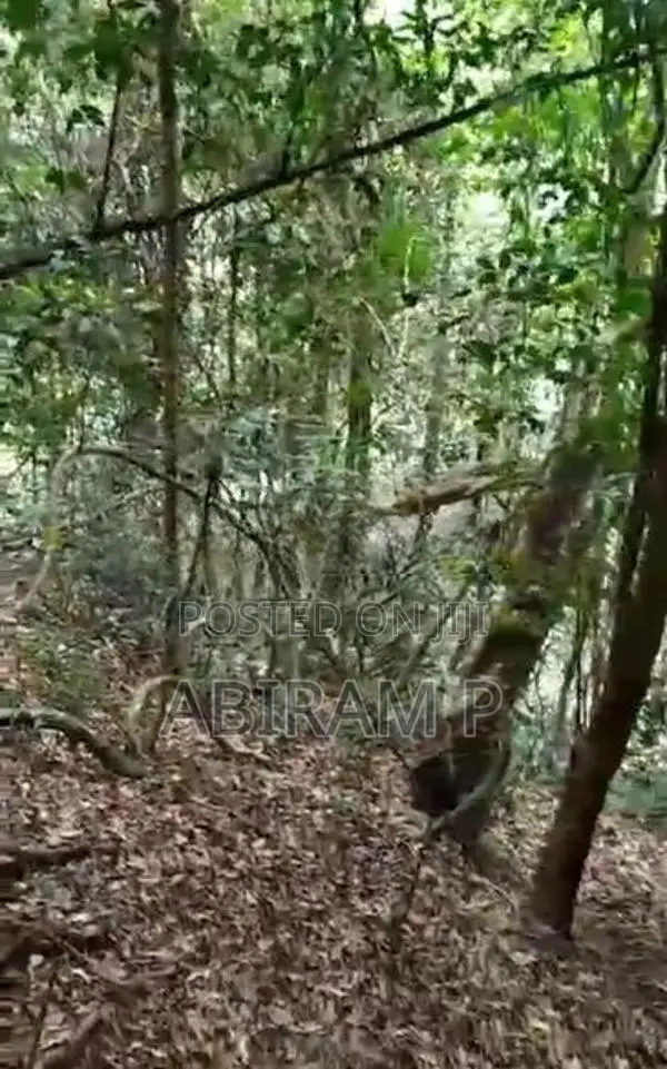 Tourism Commercial Land for Sale