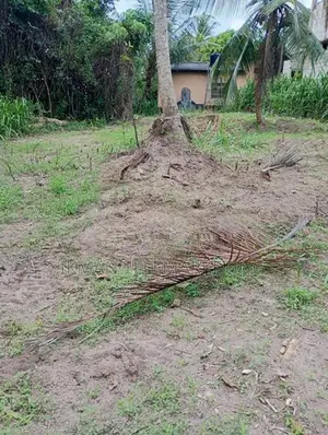 Land for Sale in Pasyala