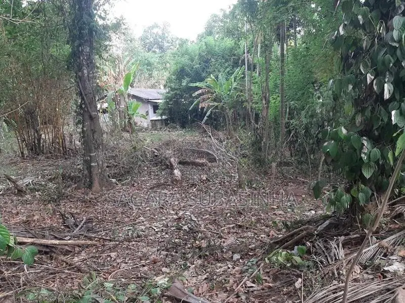 Land for Sale Monaragala