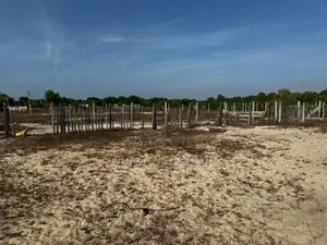 A residential land for sale in Thannamunai