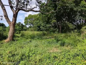 Land for Sale in Habarana