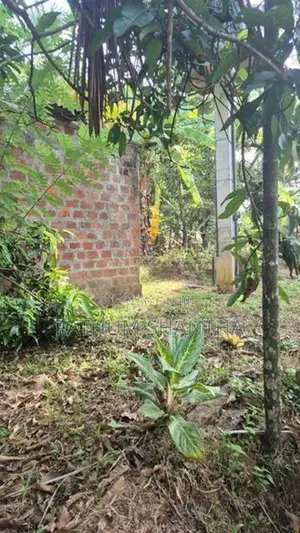 Land For Sale Ragama