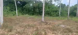 Land for Sale Katunayake