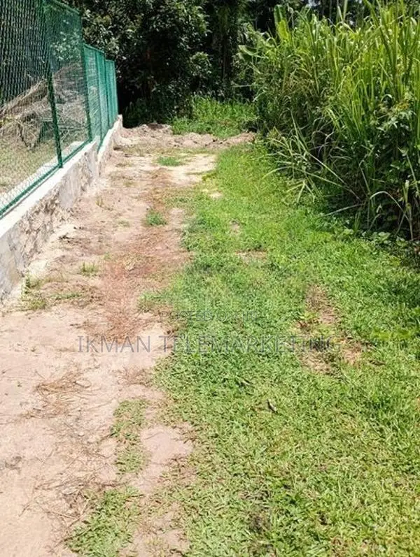 Land for Sale in Pasyala
