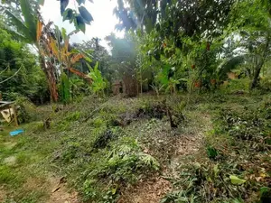 Land for Sale Monaragala