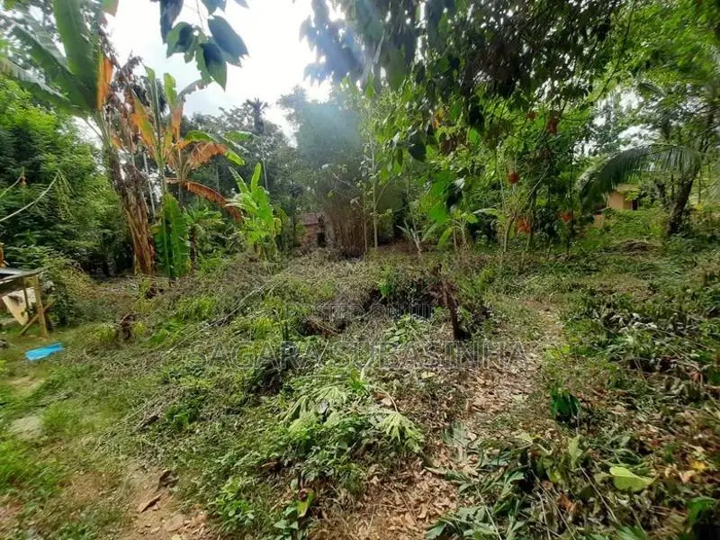 Land for Sale Monaragala