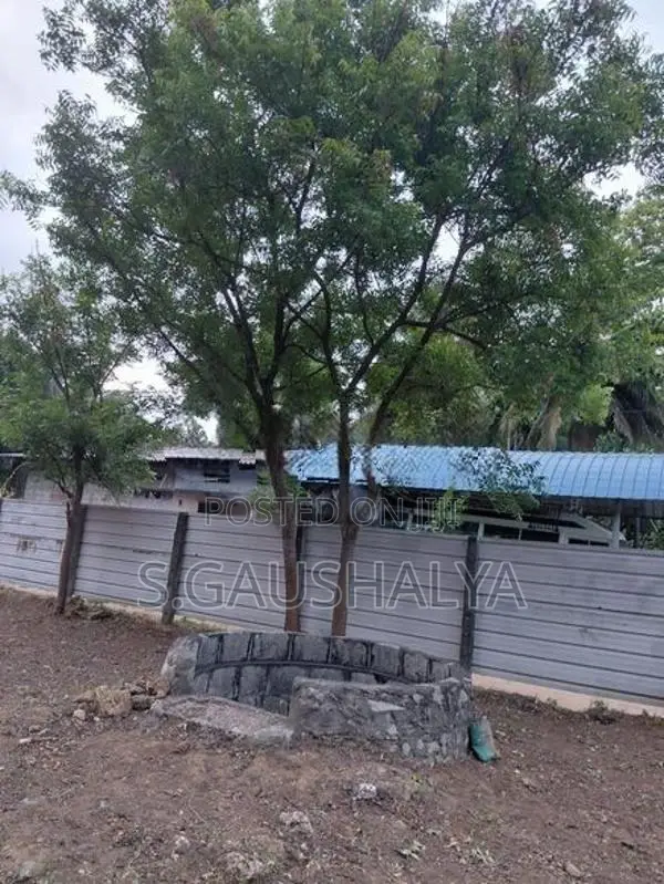 land for sale in Manipay