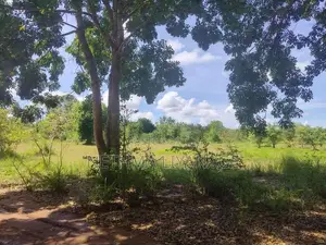 Land for Sale in Habarana