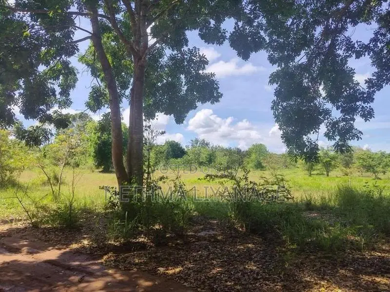 Land for Sale in Habarana