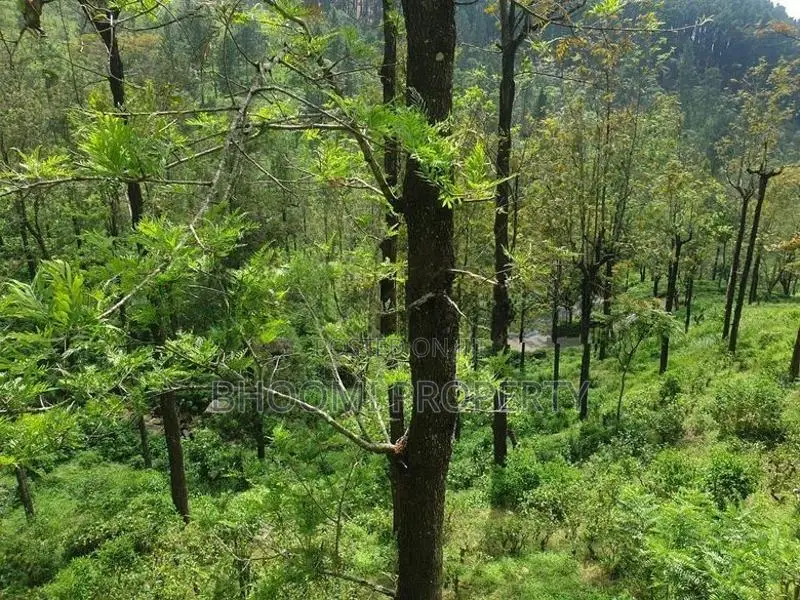 Land for Sale in Haputhale