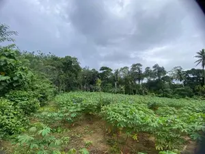 ( TS-1170) Valuable Residential Bare Land Sale in Padukka