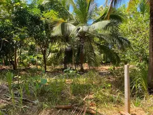 Land For Sale තලකිරියාගම ,දඹුල්ල