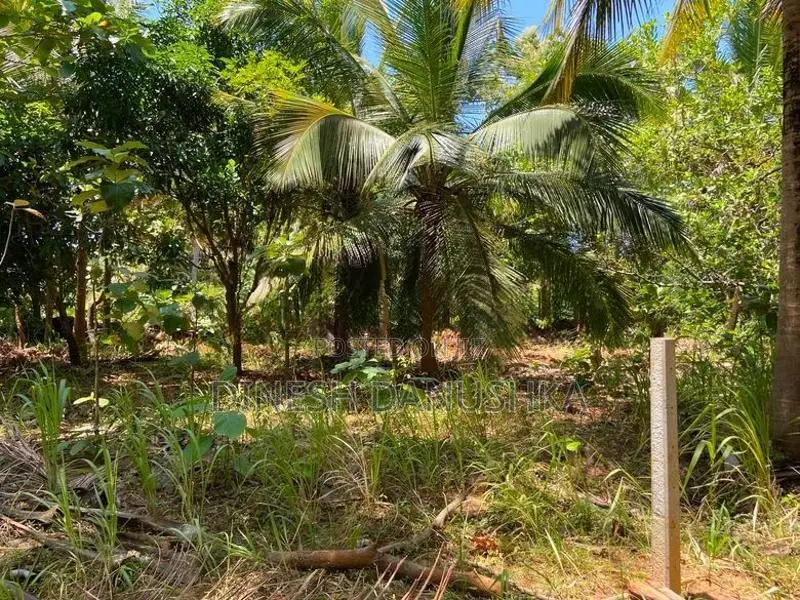 Land For Sale තලකිරියාගම ,දඹුල්ල