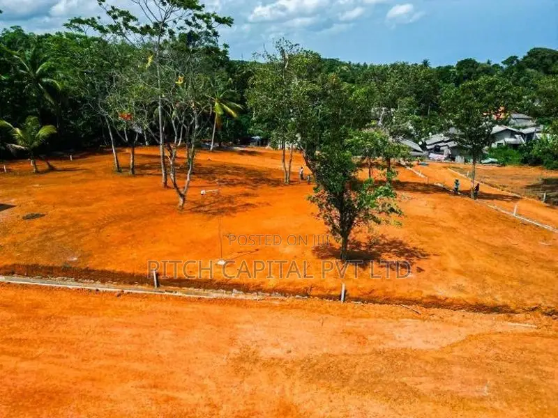 Hirikatiya Dikwella Beach Side Land For Sale