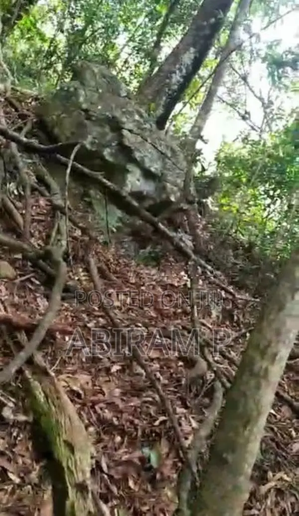 Tourism Commercial Land for Sale