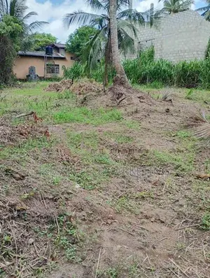Land for Sale in Pasyala