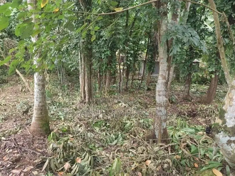 House with Land for Sale in Moragahahena