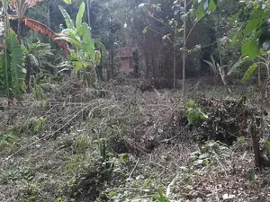 Land for Sale Monaragala