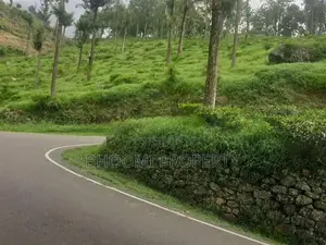 Land for Sale in Haputhale