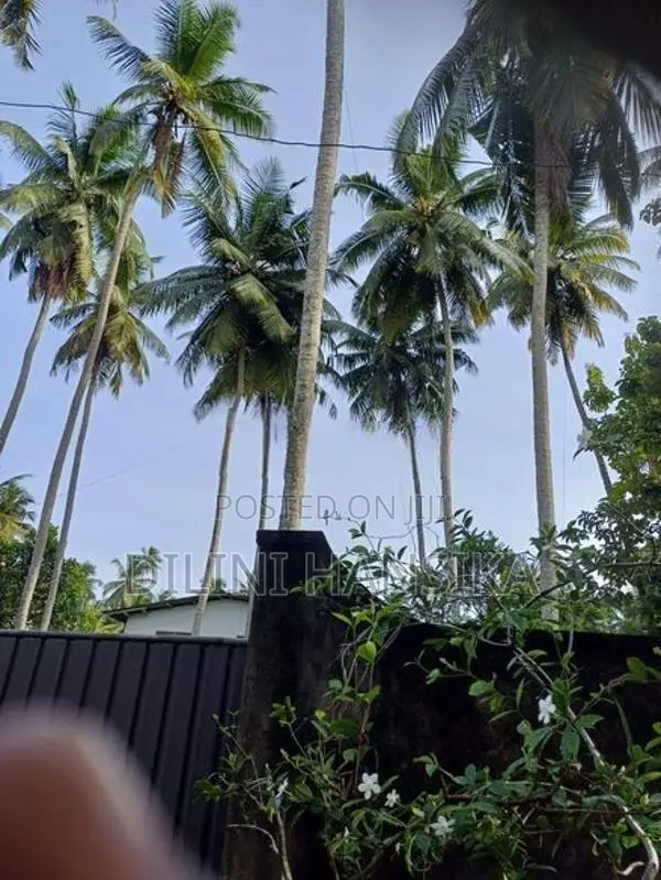 Land for Sale Wadduwa