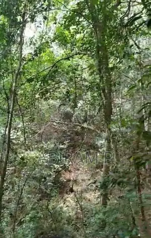 Tourism Commercial Land for Sale