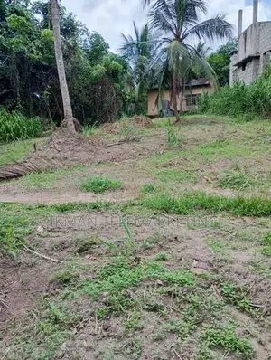 Land for Sale in Pasyala