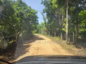 Land for Sale in Habarana