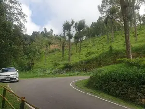 Land for Sale in Haputhale
