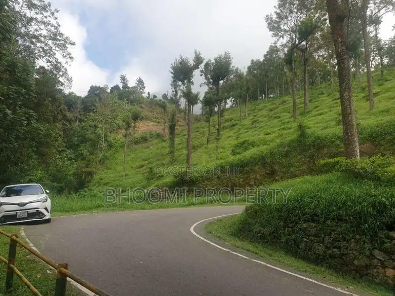 Land for Sale in Haputhale
