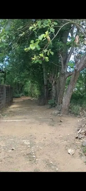 Land for Sale in Mahiyanganaya