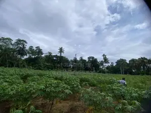 ( TS-1170) Valuable Residential Bare Land Sale in Padukka